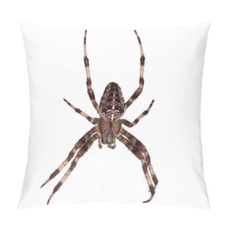 Personality  Spider Pillow Covers