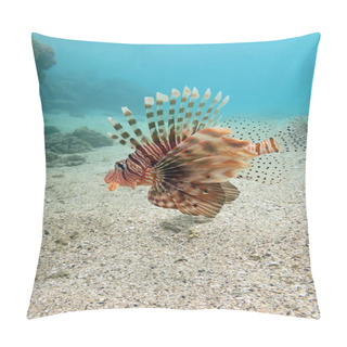 Personality  Lionfish At The Bottom Of Tropical Sea - Underwater Pillow Covers
