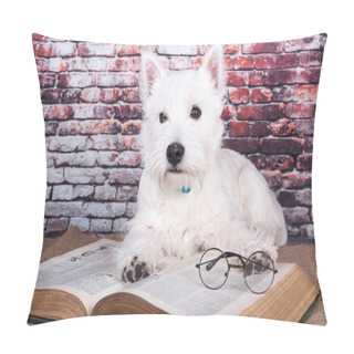 Personality  West Highland White Terrier Dog Puppy With Book On Brick Wall Background. Pillow Covers