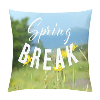 Personality  Text SPRING BREAK On Nature Background. Additional Education Concept Pillow Covers
