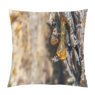 Personality  Solid Amber Resin Drops On A Tree Trunk. Pillow Covers