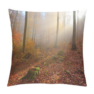 Personality  Mysterious Morning Fog In Autumn Forest Pillow Covers