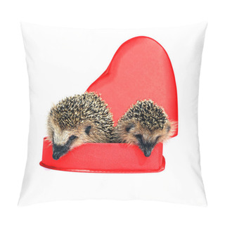 Personality  Two Small Forest Hedgehogs In A Red Gift Box In Heart Shape  Pillow Covers
