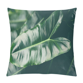 Personality  Leaf Beautiful In The Tropical Forest Plant Jungle, Natural Green Leaves Pattern Dark Background Pillow Covers