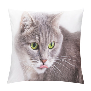 Personality  The Head Of A Gray Cat With Green Eyes And The Put-out Language  Pillow Covers
