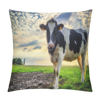 Personality Black And White Calf At Green Field Pillow Covers
