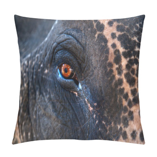 Personality  Indian Elephant Eye Pillow Covers