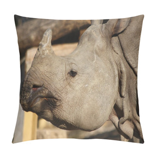 Personality  Rhinoceros Pillow Covers