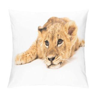 Personality  Adorable Lion Cub Lying Isolated On White Pillow Covers