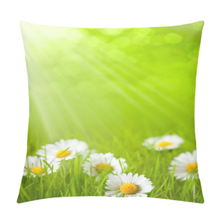 Personality  Spring Field - Daisy In Grass Pillow Covers
