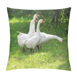 Personality  White Geese On The Green Grass Pillow Covers