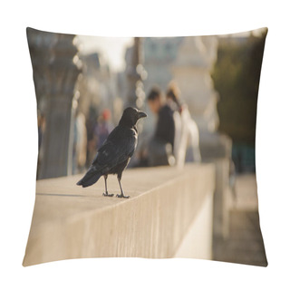 Personality  Black Crow Sitting On The Concrete Parapet Against The Background Of City Pillow Covers