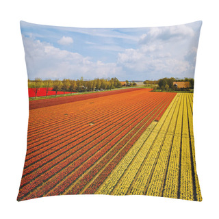 Personality  Tulip Field In The Netherlands, Colorful Tulip Fields In Flevoland Noordoostpolder Holland, Dutch Spring Views Pillow Covers