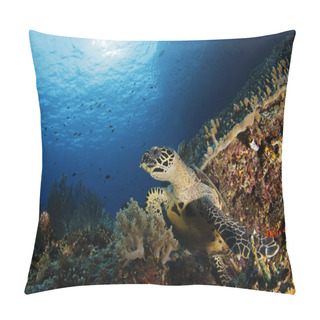 Personality  Hawksbill Turtle (Eretmochelys Imbricata) On Coral Reef. Misool, Raja Ampat, Indonesia Pillow Covers