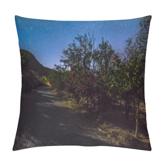 Personality  Billions Of Stars Shinning On A Starry Night Pillow Covers