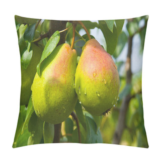 Personality  Juicy Pears On Tree Pillow Covers