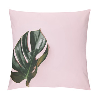 Personality  Top View Of Green Monstera Leaf On Pink Surafce Pillow Covers