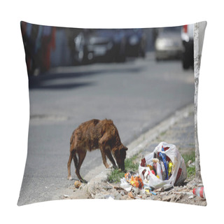 Personality  Dog Eating Trash On The Street Pillow Covers
