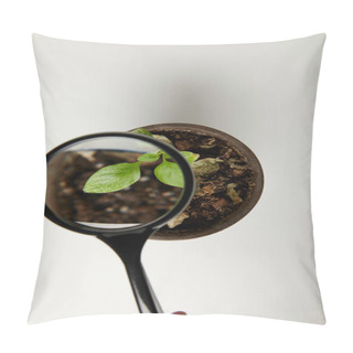 Personality  Top View Through Magnifying Glass At Green Plant In Pot On Grey  Pillow Covers