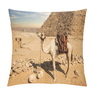 Personality  Camel Near Ruins Pillow Covers