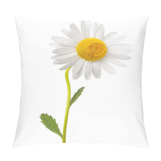 Personality  White Daisy Pillow Covers