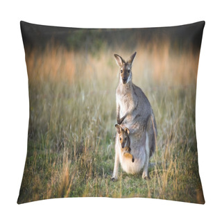 Personality  Kangaroo And Joey Pillow Covers