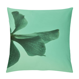 Personality  Close Up View Of Colorful Green Orchid Flower Isolated On Green Pillow Covers