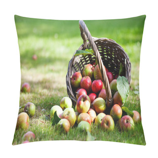 Personality  Apples In Basket Pillow Covers