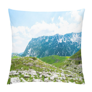 Personality  Panoramic View Of Green Valley With Stones In Durmitor Massif, Montenegro Pillow Covers