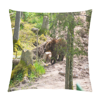 Personality  Wild Adult Brown Bear ( Ursus Arctos ) In The Summer Forest. Pillow Covers