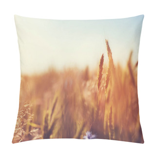 Personality  Close View Of Golden Wheat Field At Sunset Pillow Covers