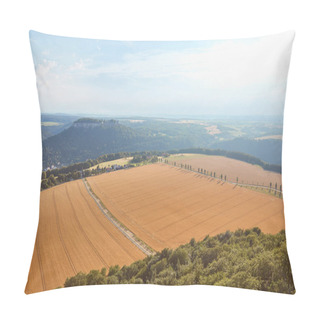 Personality  Aerial View Of Orange Fields With Harvest And Roads In Bad Schandau, Germany Pillow Covers