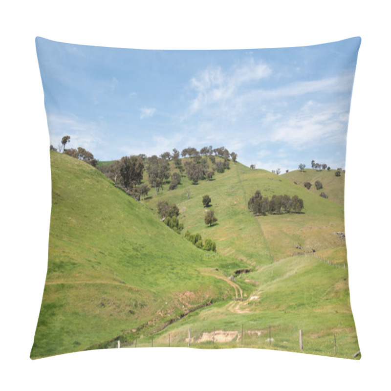 Personality  Rural Farmland, In Southern New South Wales, Australia Pillow Covers