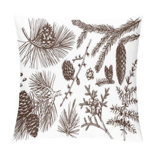 Personality  Vector Collection Of Conifers Illustration. Pillow Covers