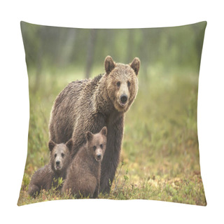 Personality  Female Eurasian Brown Bear And Her Cubs In Boreal Forest Pillow Covers