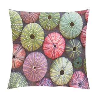 Personality  Colorful Sea Urchins On The Beach Pillow Covers