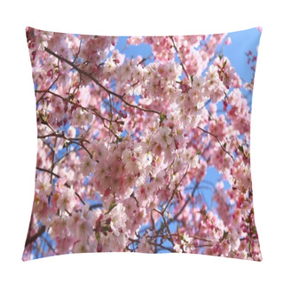 Personality  Pink Blossoms In The Spring Pillow Covers