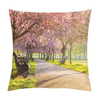 Personality  Benches On A Path With Green Grass And Cherry Blossom Or Sakura Flower. Pillow Covers