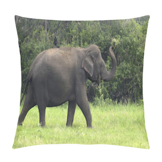 Personality  Elephants Pillow Covers