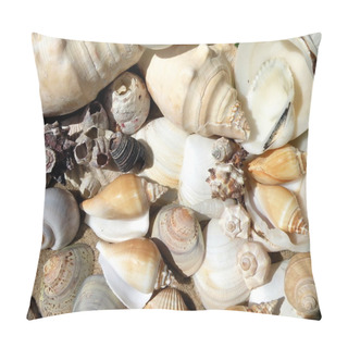 Personality  Shells Pillow Covers