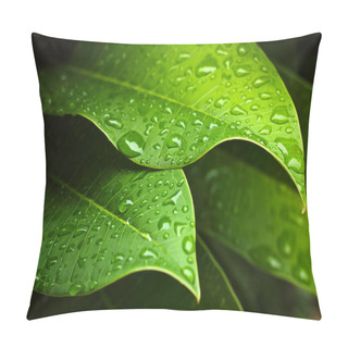 Personality  Green Leaf Pillow Covers