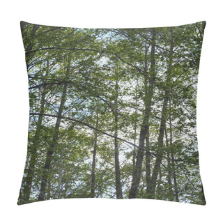 Personality  Green Leaves In Forest On Blue Sky Background Pillow Covers