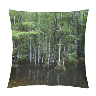 Personality  Cypress Forest At Water Edge Pillow Covers