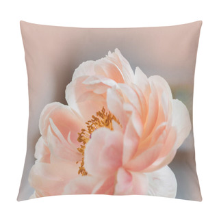 Personality  Peony Flowers Petals, Flora    Pillow Covers