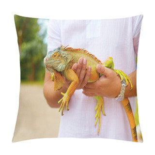 Personality  Young Man, Herpetologist Holding Colorful Iguana Reptile Pillow Covers