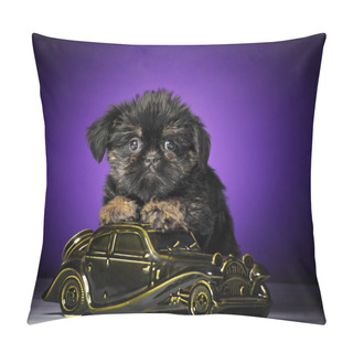 Personality  Griffin With Car Pillow Covers