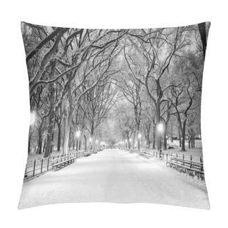 Personality  Central Park, NY Covered In Snow At Dawn Pillow Covers