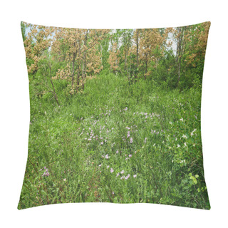 Personality  Beautiful Roadside Flowers, Diversity Of Nature. Colorful Combination Of Wildflowers. Close Up Photo, Of Roadside Weeds And Flowers. Some Of Them Are Invasive, Some Rare. Biodiversity Concept. Pillow Covers