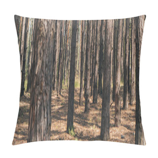 Personality  Panoramic Crop Of Tree Trunks In Summer Woods  Pillow Covers