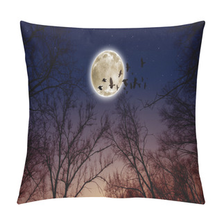 Personality  Full Moon, Ravens Pillow Covers